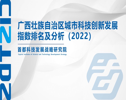 农村操屄网站【成果发布】广西壮族自治区城市科技创新发展指数排名及分析（2022）